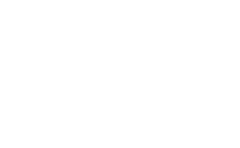 Logo-Beija-Flor-branca
